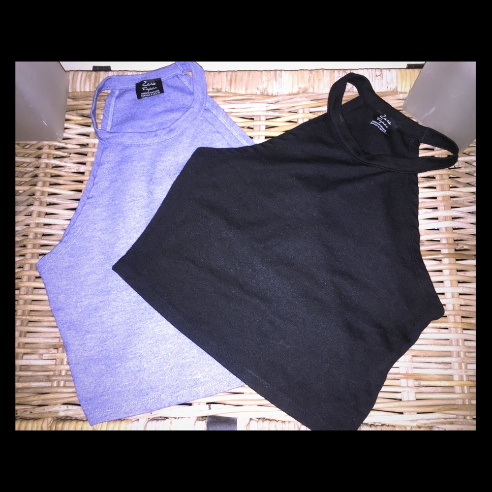 Zara Crop Tops